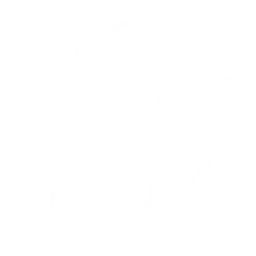 Substantial Financial Support